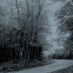 FotoFocus: X-ray Prints